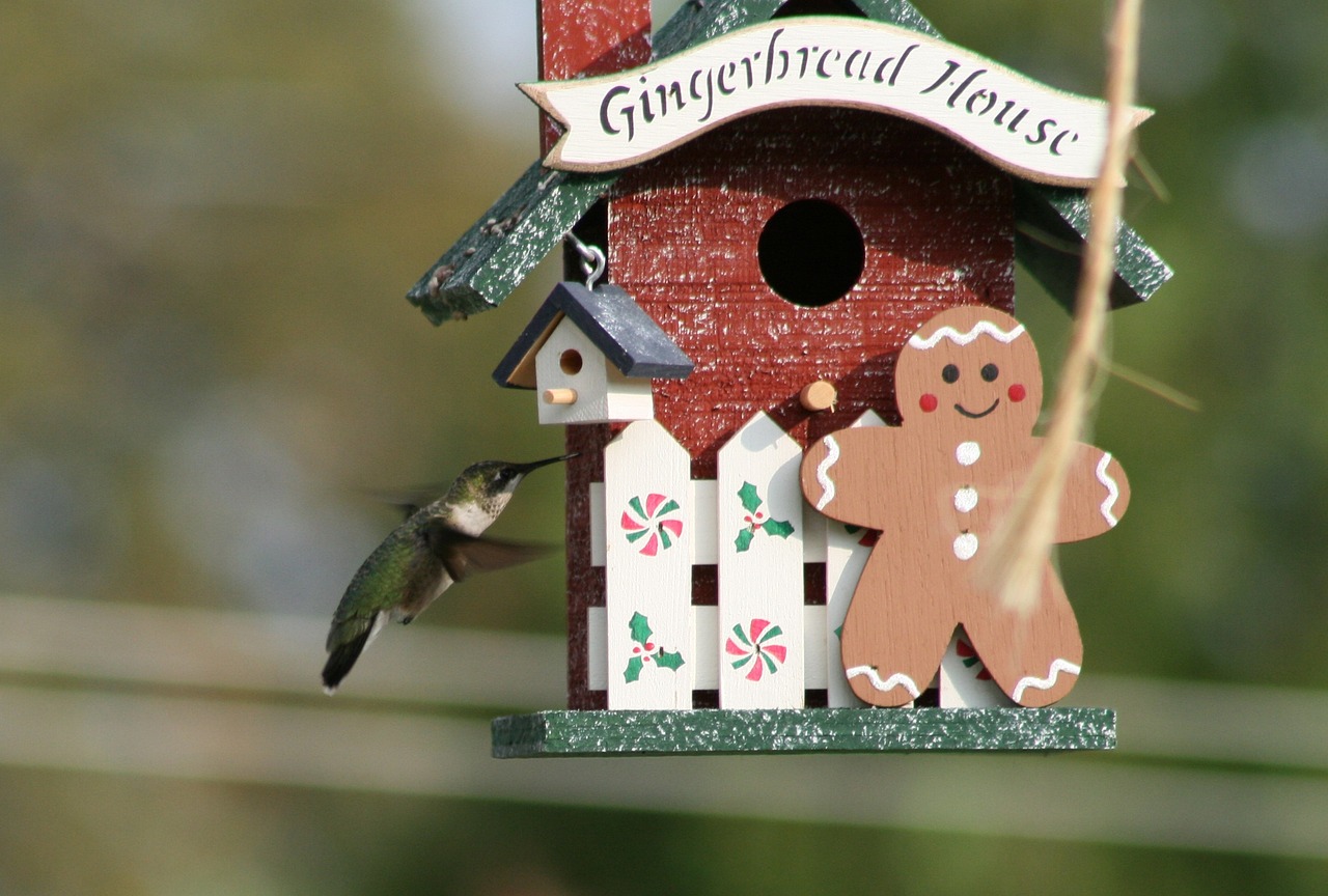 Using Bird-Friendly Designs in Urban Areas to Improve Biodiversity